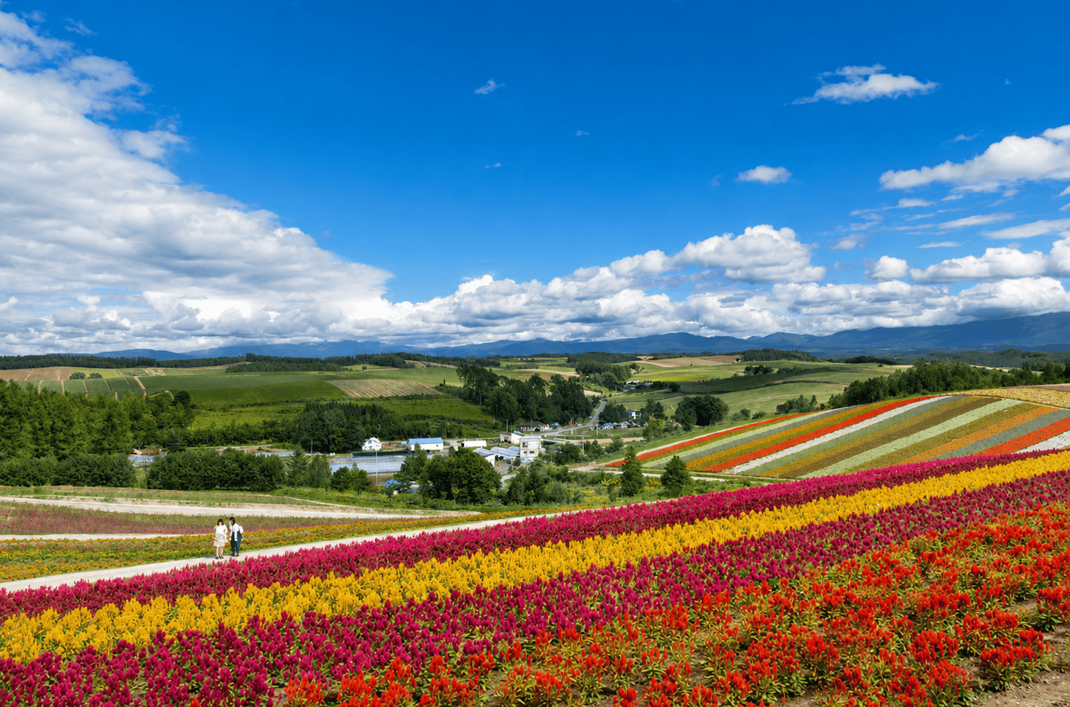 北海道の春