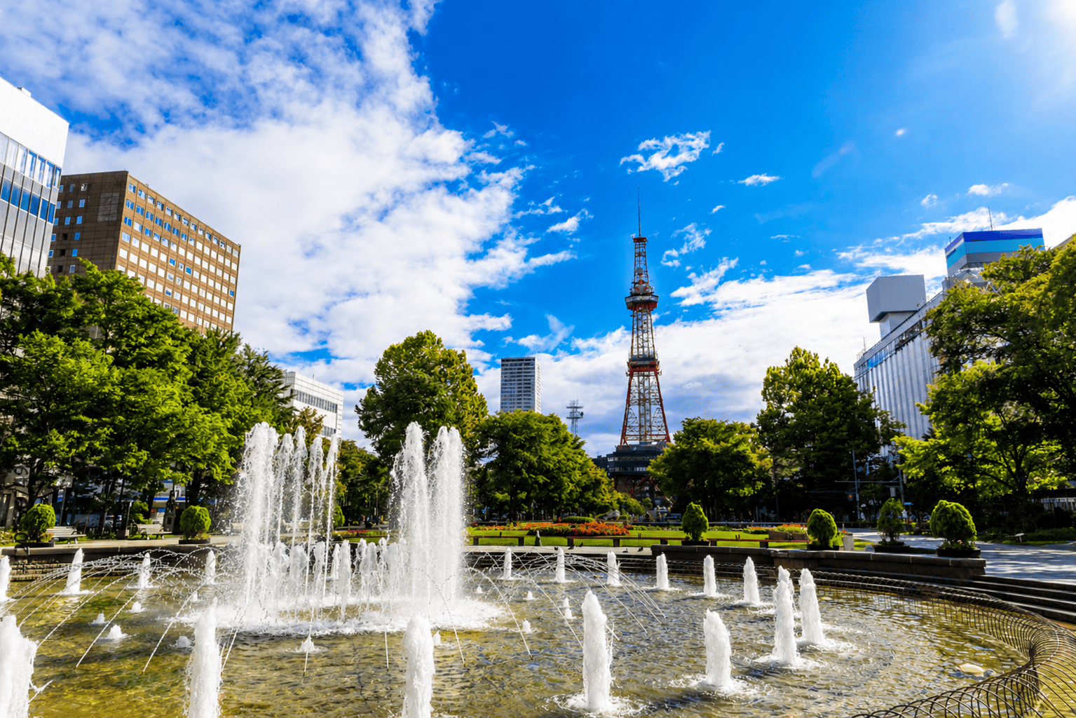 北海道の夏